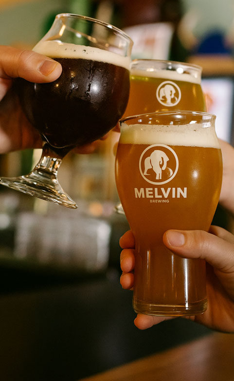 Beer